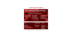Desktop Screenshot of faschingdruck.com